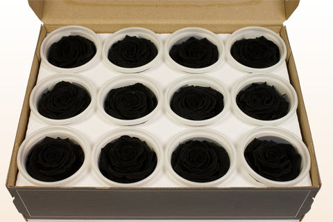Size S, 12 roses