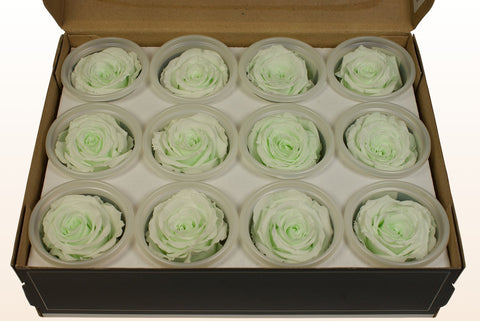 Size S, 12 roses